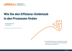 Goldstaub in Prozessen - Landingpage Vorschaubild-1