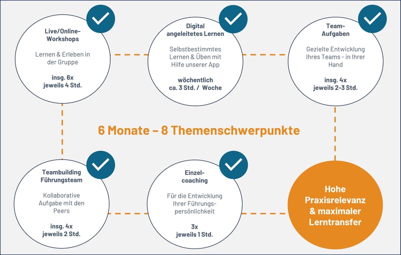 LeadingTeams Überblick